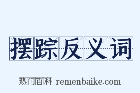 摆踪反义词是什么意思的图片